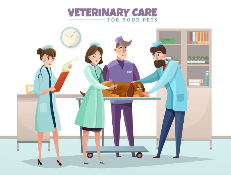 Exploring the Role of a Veterinary and Livestock Development Assistant (VLDA)